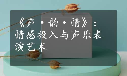 《声·韵·情》：情感投入与声乐表演艺术