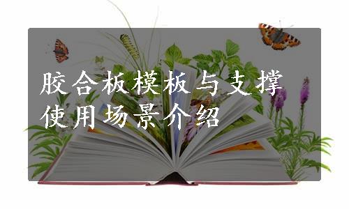 胶合板模板与支撑使用场景介绍