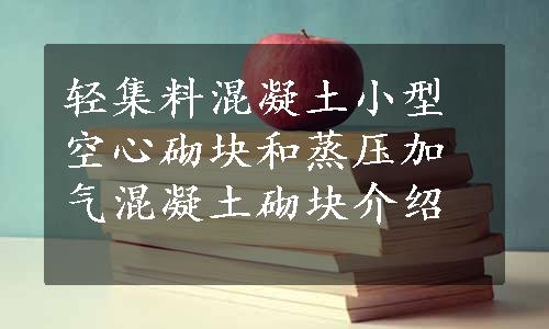 轻集料混凝土小型空心砌块和蒸压加气混凝土砌块介绍