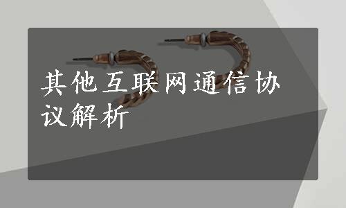 其他互联网通信协议解析