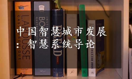 中国智慧城市发展：智慧系统导论