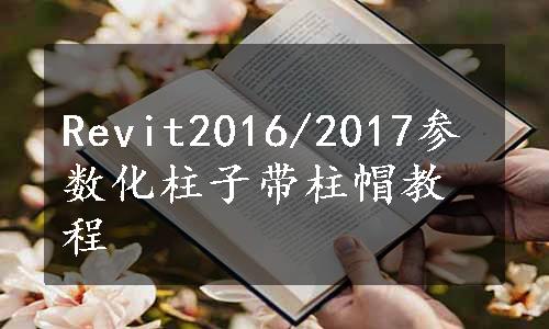 Revit2016/2017参数化柱子带柱帽教程