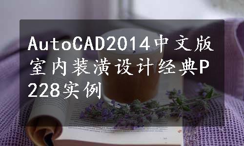 AutoCAD2014中文版室内装潢设计经典P228实例