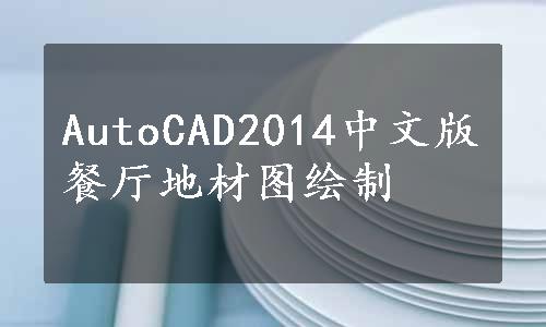 AutoCAD2014中文版餐厅地材图绘制