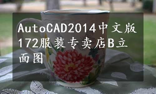 AutoCAD2014中文版172服装专卖店B立面图