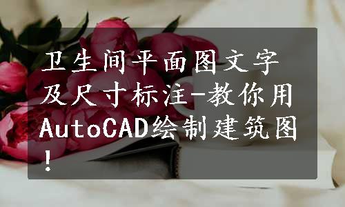 卫生间平面图文字及尺寸标注-教你用AutoCAD绘制建筑图！