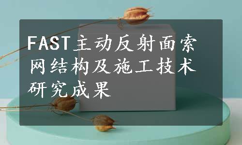 FAST主动反射面索网结构及施工技术研究成果