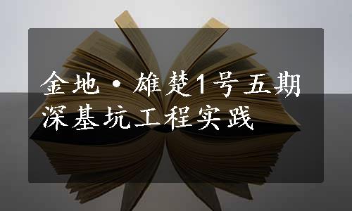 金地·雄楚1号五期深基坑工程实践