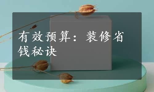 有效预算：装修省钱秘诀