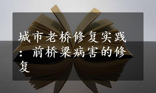 城市老桥修复实践：前桥梁病害的修复