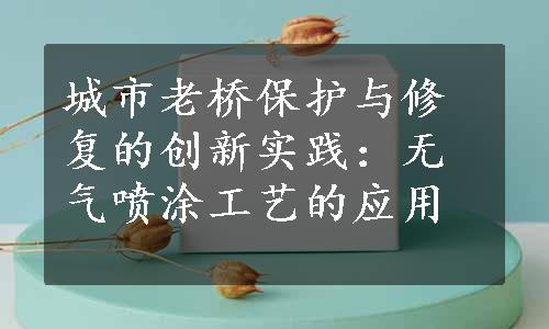 城市老桥保护与修复的创新实践：无气喷涂工艺的应用