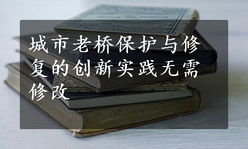 城市老桥保护与修复的创新实践无需修改