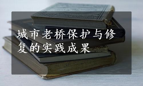 城市老桥保护与修复的实践成果