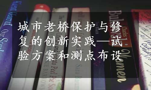 城市老桥保护与修复的创新实践—试验方案和测点布设