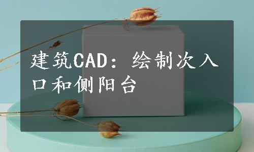 建筑CAD：绘制次入口和侧阳台