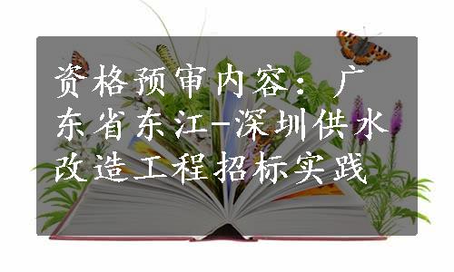 资格预审内容：广东省东江-深圳供水改造工程招标实践