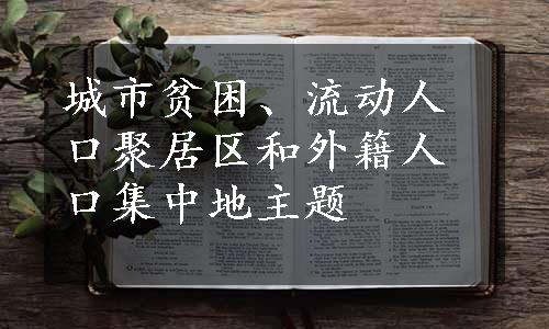 城市贫困、流动人口聚居区和外籍人口集中地主题