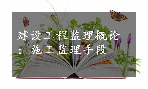 建设工程监理概论：施工监理手段