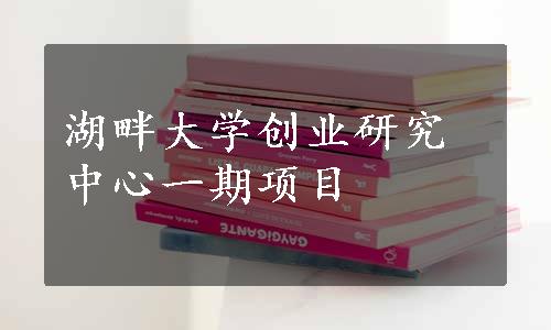 湖畔大学创业研究中心一期项目