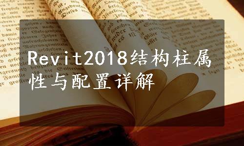 Revit2018结构柱属性与配置详解