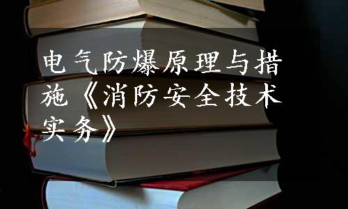 电气防爆原理与措施《消防安全技术实务》