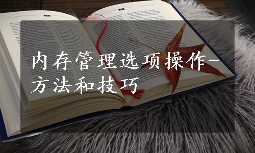 内存管理选项操作-方法和技巧