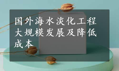 国外海水淡化工程大规模发展及降低成本