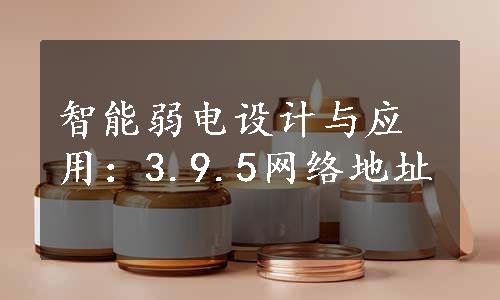 智能弱电设计与应用：3.9.5网络地址