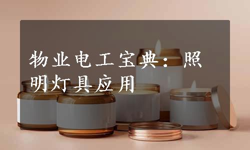 物业电工宝典：照明灯具应用