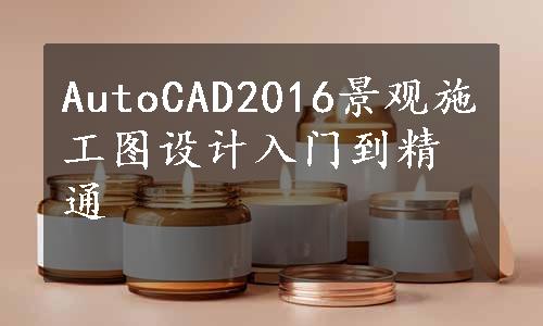 AutoCAD2016景观施工图设计入门到精通