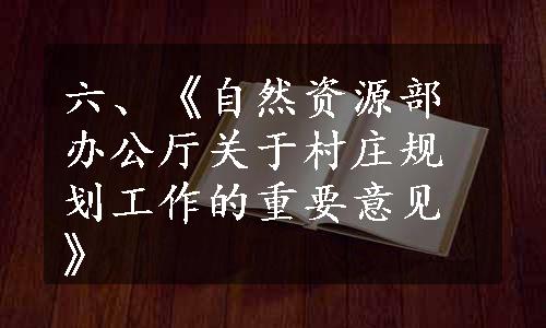 六、《自然资源部办公厅关于村庄规划工作的重要意见》