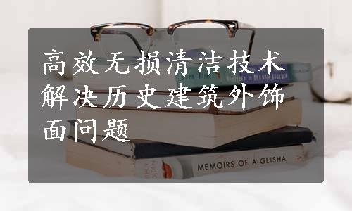 高效无损清洁技术解决历史建筑外饰面问题