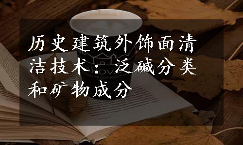 历史建筑外饰面清洁技术：泛碱分类和矿物成分