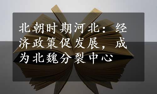 北朝时期河北：经济政策促发展，成为北魏分裂中心