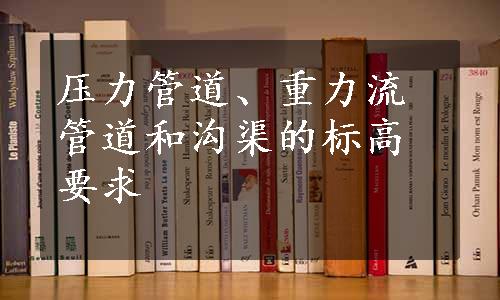 压力管道、重力流管道和沟渠的标高要求