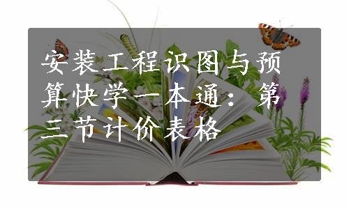 安装工程识图与预算快学一本通：第三节计价表格