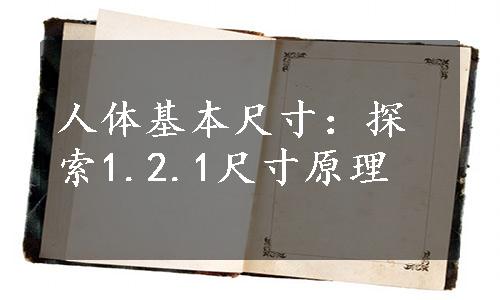 人体基本尺寸：探索1.2.1尺寸原理