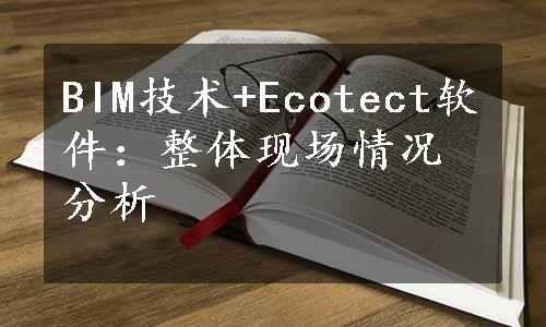 BIM技术+Ecotect软件：整体现场情况分析