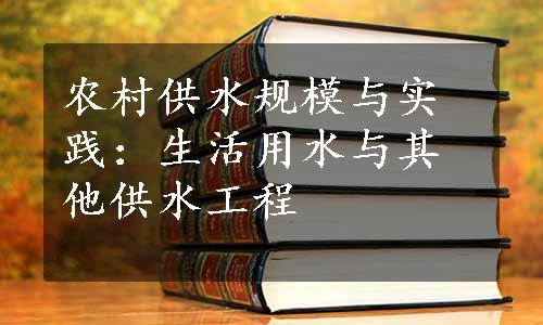 农村供水规模与实践：生活用水与其他供水工程