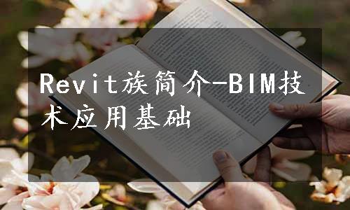 Revit族简介-BIM技术应用基础