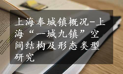 上海奉城镇概况-上海“一城九镇”空间结构及形态类型研究