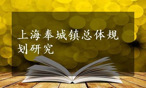 上海奉城镇总体规划研究