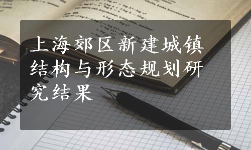 上海郊区新建城镇结构与形态规划研究结果