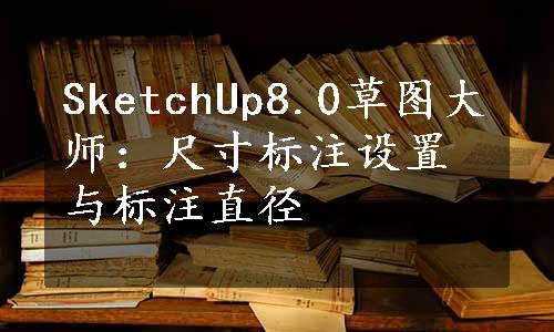 SketchUp8.0草图大师：尺寸标注设置与标注直径