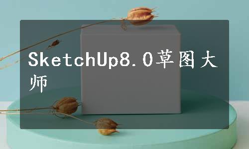 SketchUp8.0草图大师