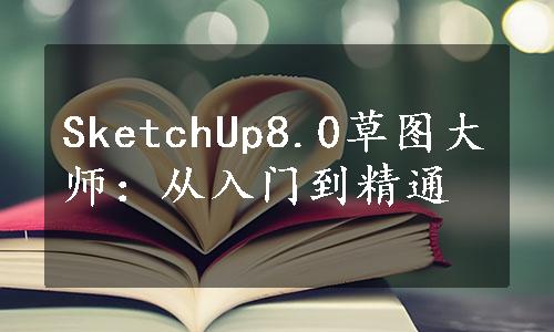 SketchUp8.0草图大师：从入门到精通