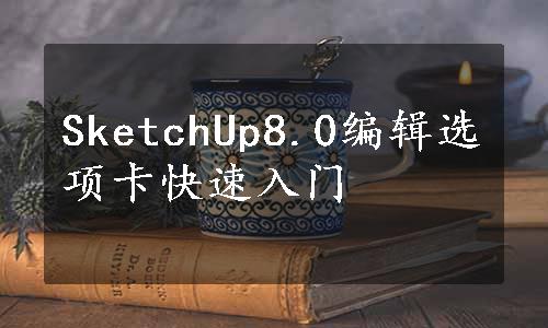 SketchUp8.0编辑选项卡快速入门