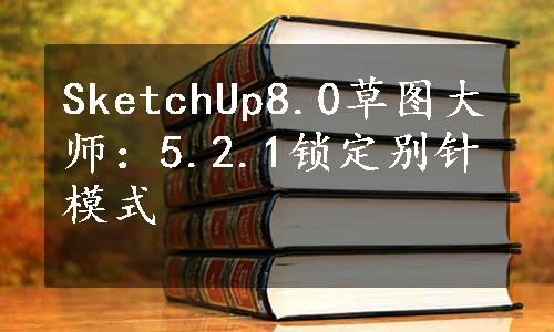 SketchUp8.0草图大师：5.2.1锁定别针模式