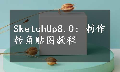 SketchUp8.0：制作转角贴图教程