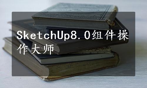 SketchUp8.0组件操作大师